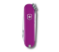 Victorinox Classic SD Swiss Multitool Tasty Grape Handle Plain Edge 0.6223.52G -Cold Steel Zone aea60e05 c7c1 4fe4 ba53 f519f9c8245c 42678.1628622244